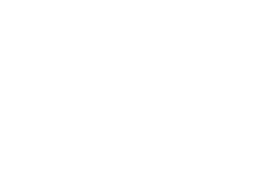 vYve logo